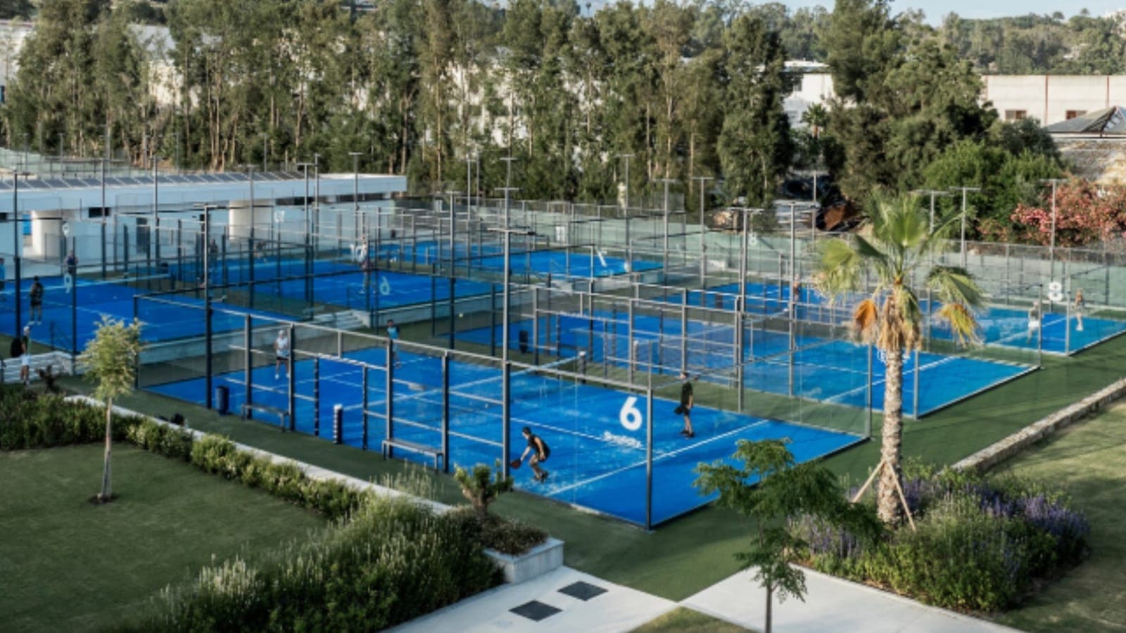 Los Naranjos - Club de Pádel Imagen de Portada