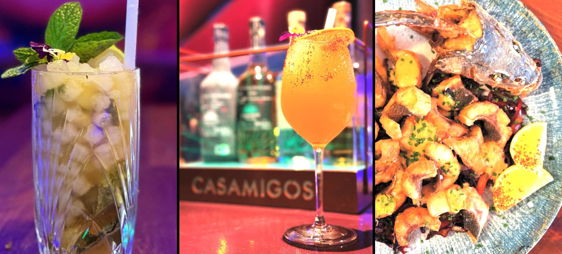 A TERAPIA Imagen de Galería 2