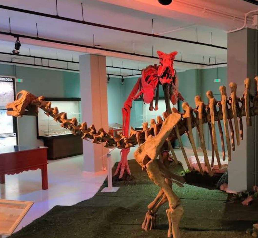 Plaza de Toros de Estepona Imagen de Galería 3