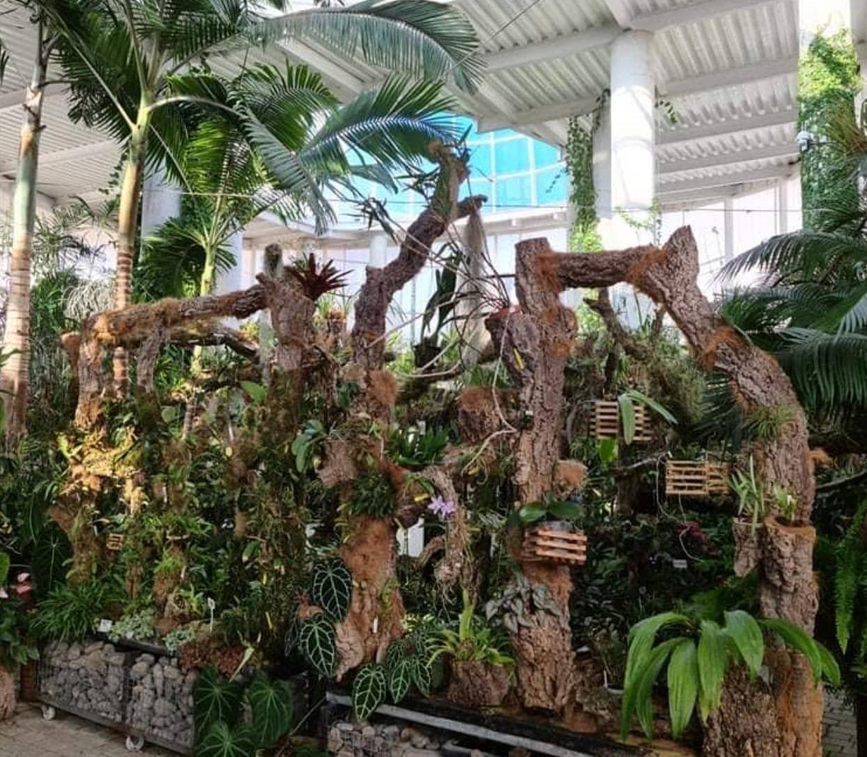 ¡Orchidarium Botanical Park Gallery Image 3