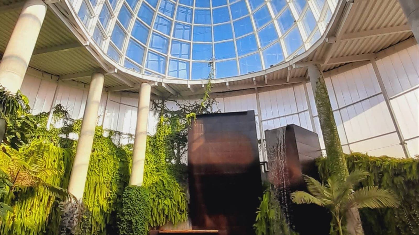 ¡Orchidarium Botanical Park Cover Image