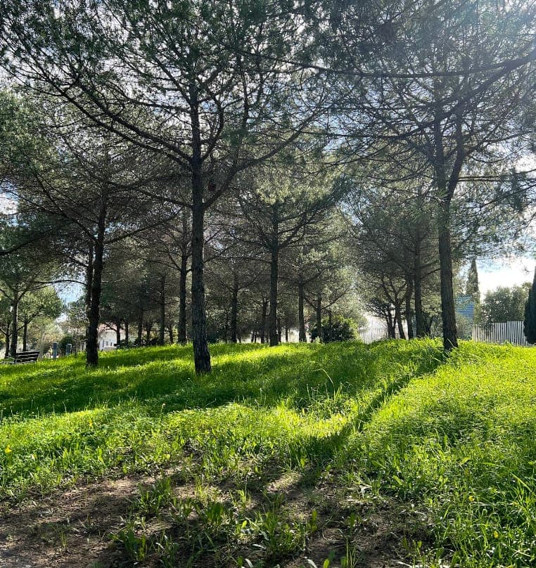 Parque de los Tres Jardines Imagen de Galería 2