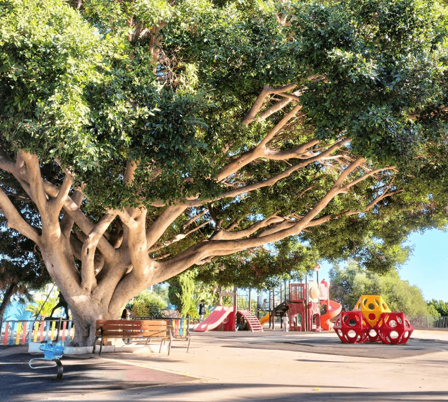 Sport Venue Paco Cantos Gallery Image 2