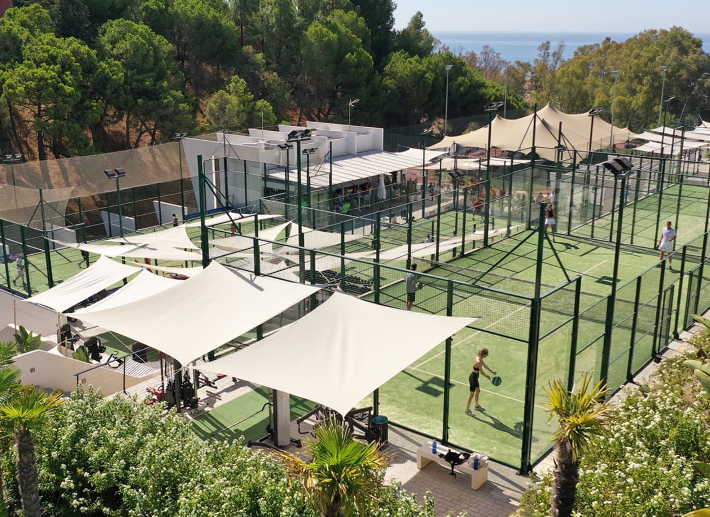 Los Reales Sports Club Imagen de Portada