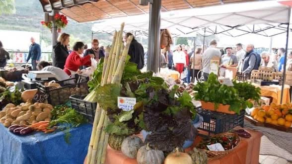 Mercado Agroalimentario de Coín Imagen de Portada