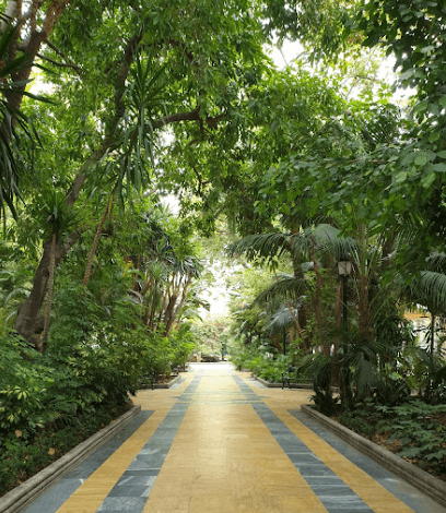 Alameda´s Park Cover Image