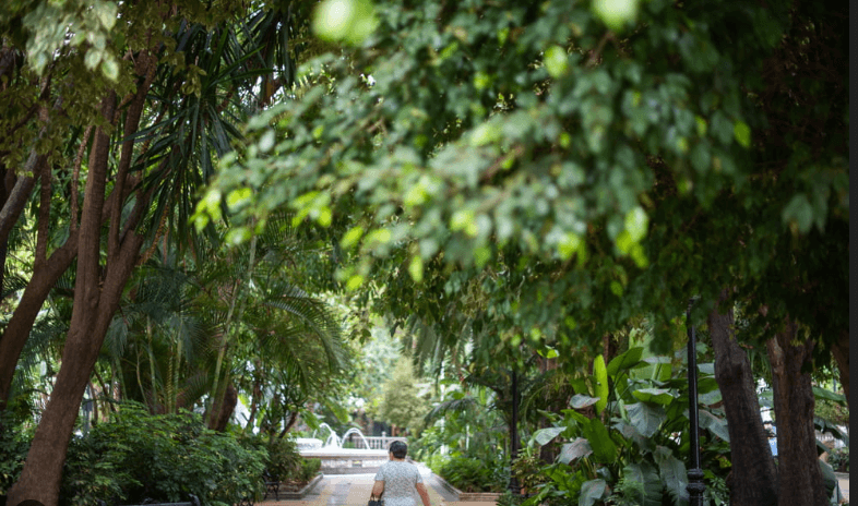 Alameda´s Park Logo