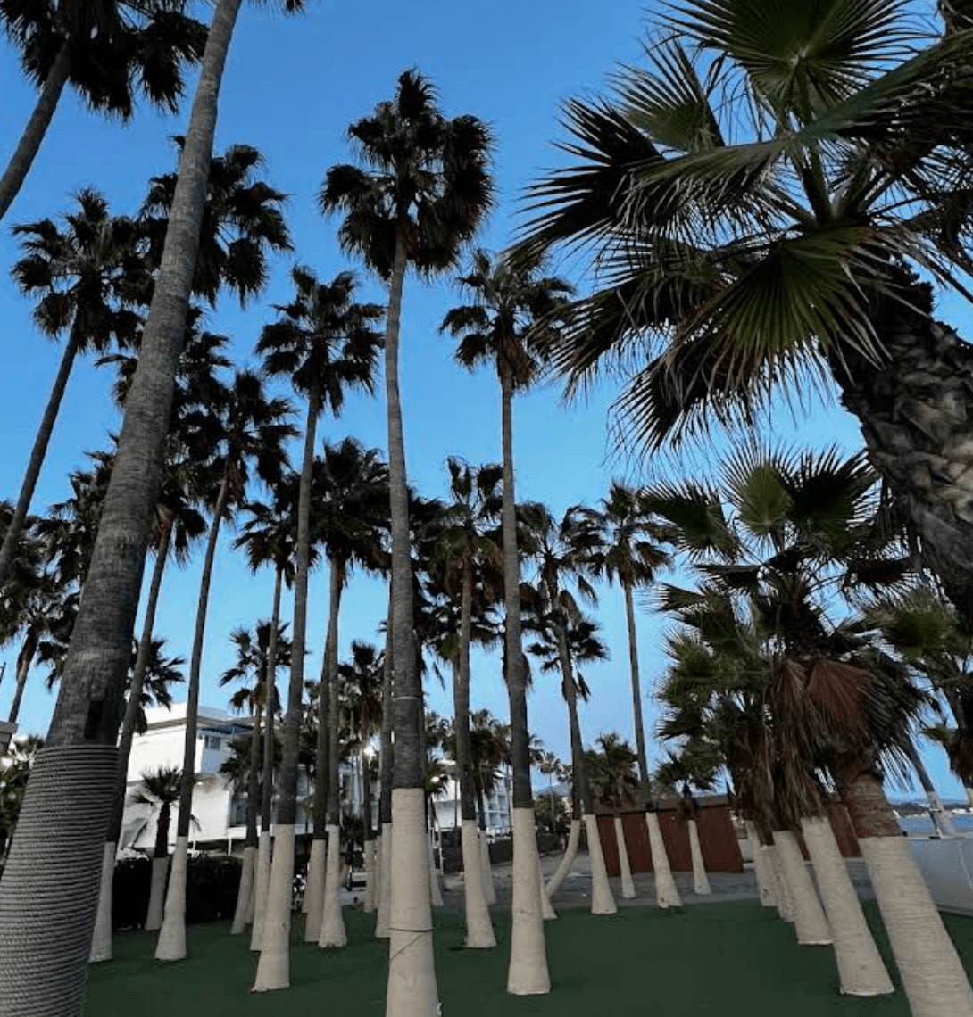 By The Sea Beach Club Imagen de Galería 3