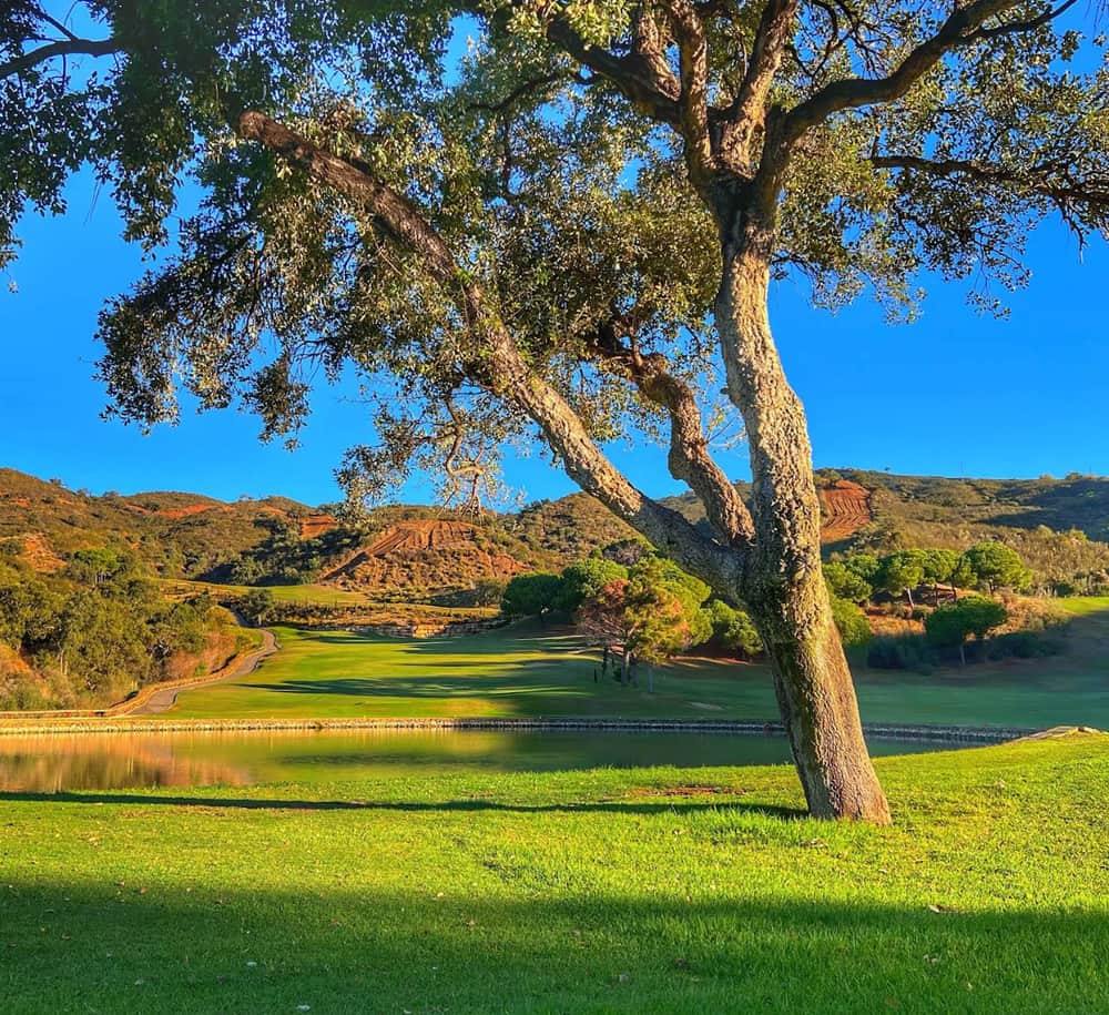 Santa María Golf & Country Club – Elviria Imagen de Galería 3