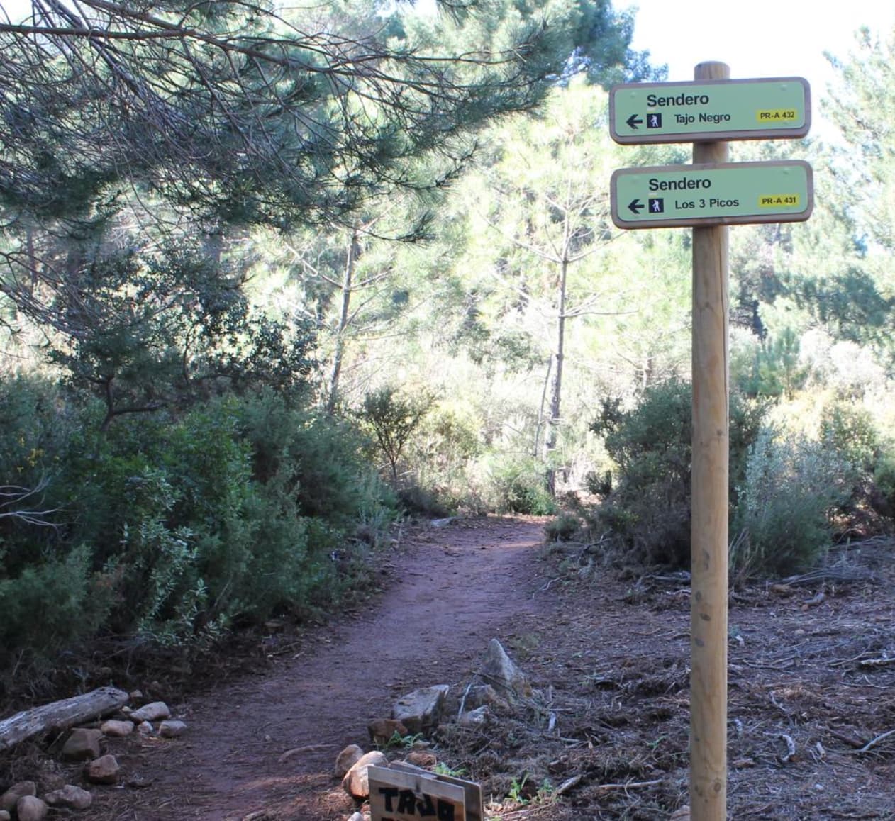 Tajo Negro — Ruta circular Imagen de Galería 3