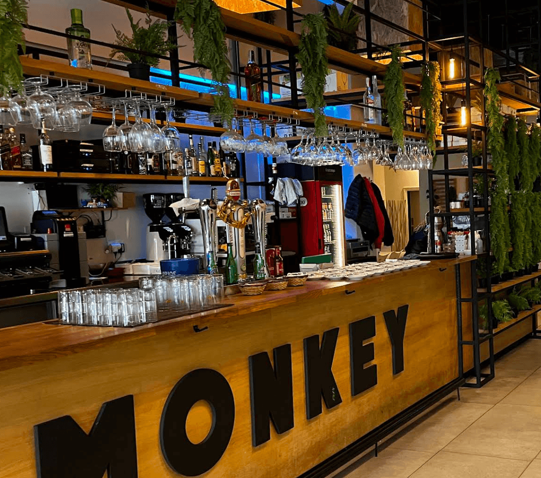 Monkey Park Imagen de Galería 1