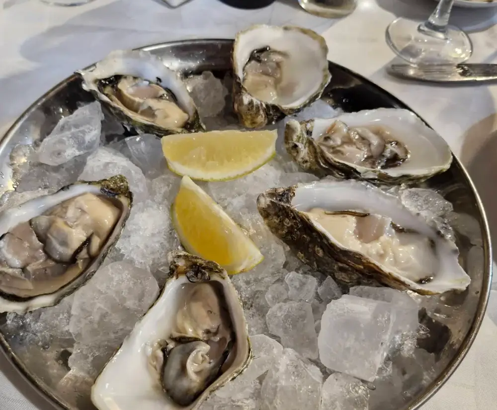 Maruja Limoon Imagen de Galería 3