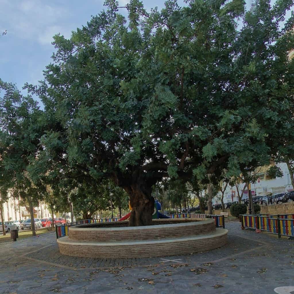 Parque Manuel Lavigne Roldán – Jardines Miraflores logo