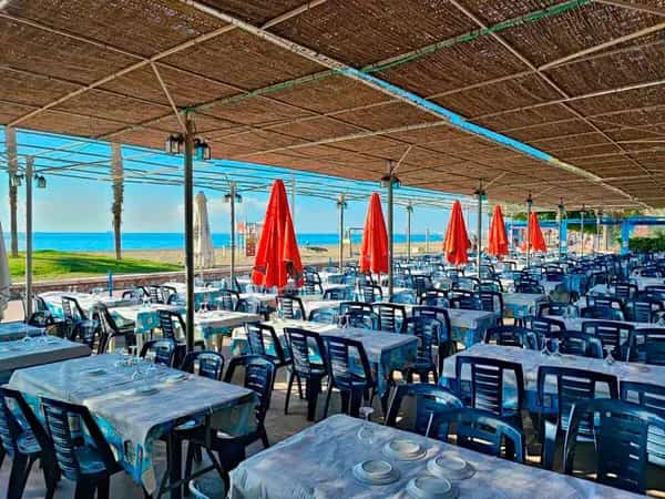 El Tintero (Palo Málaga) logo