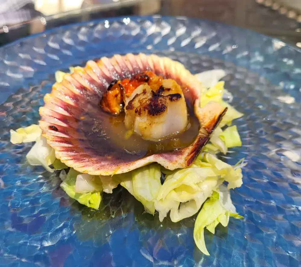 La Viña Imagen de Galería 2