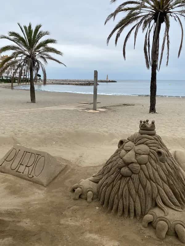 Playa del Duque logo