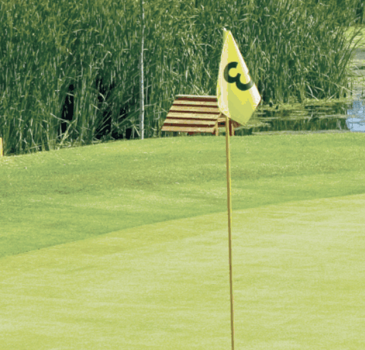 El Campanario Resort Imagen de Galería 1