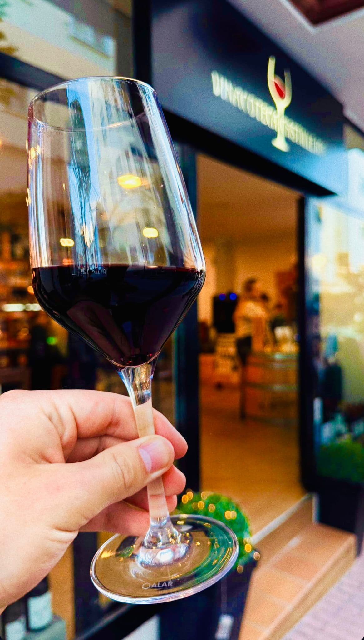 Vinacoteca Castillejos Imagen de Galería 2