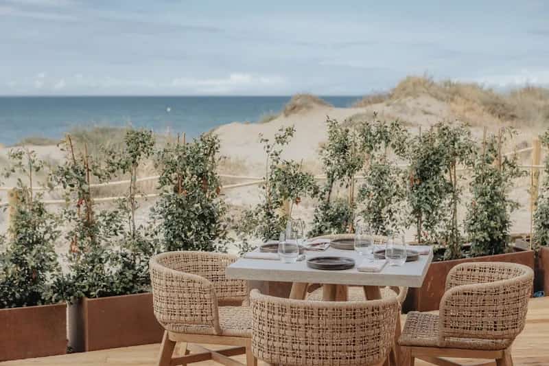 The Dune Beach Club Marbella logo