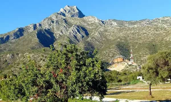 Vista de la montaña La Concha y Sierra Blanca desde Parque Nagüeles en Marbella, entorno natural ideal para paseos y planes al aire libre.