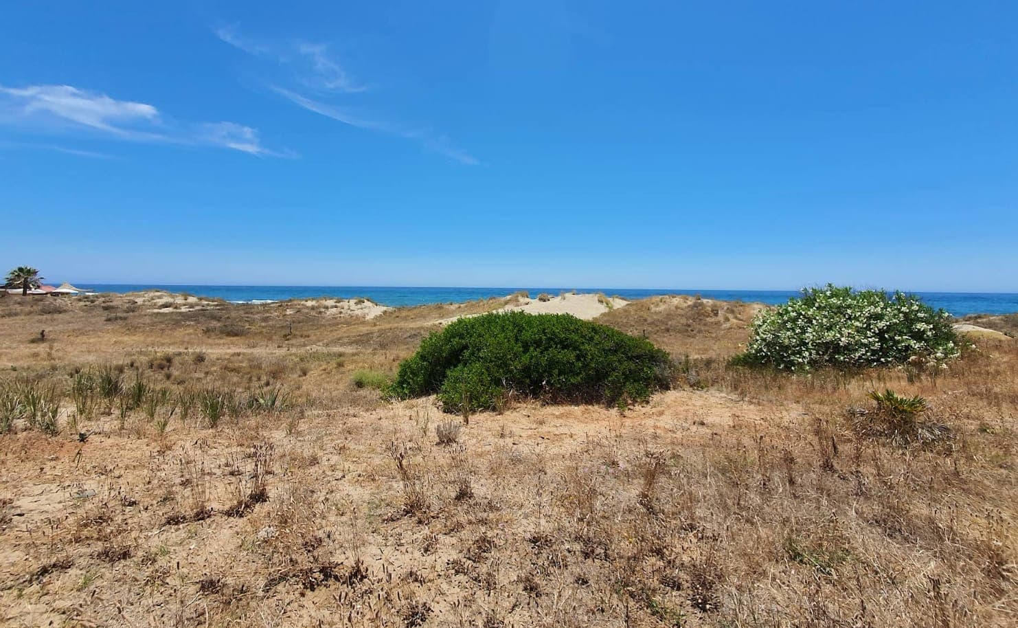 Playa del Real de Zaragoza Imagen de Portada