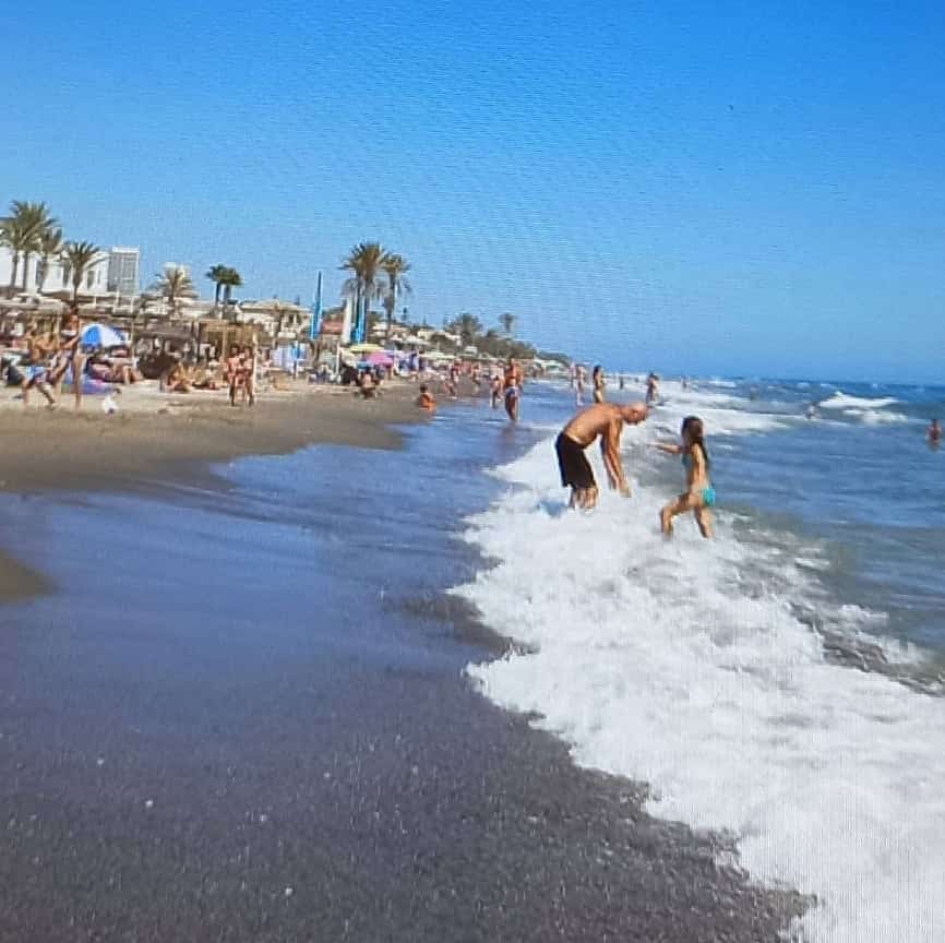 Playa del Real de Zaragoza logo