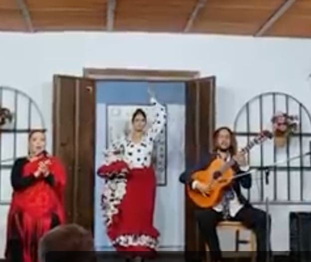 Peña Flamenca La Churruca Imagen de Portada