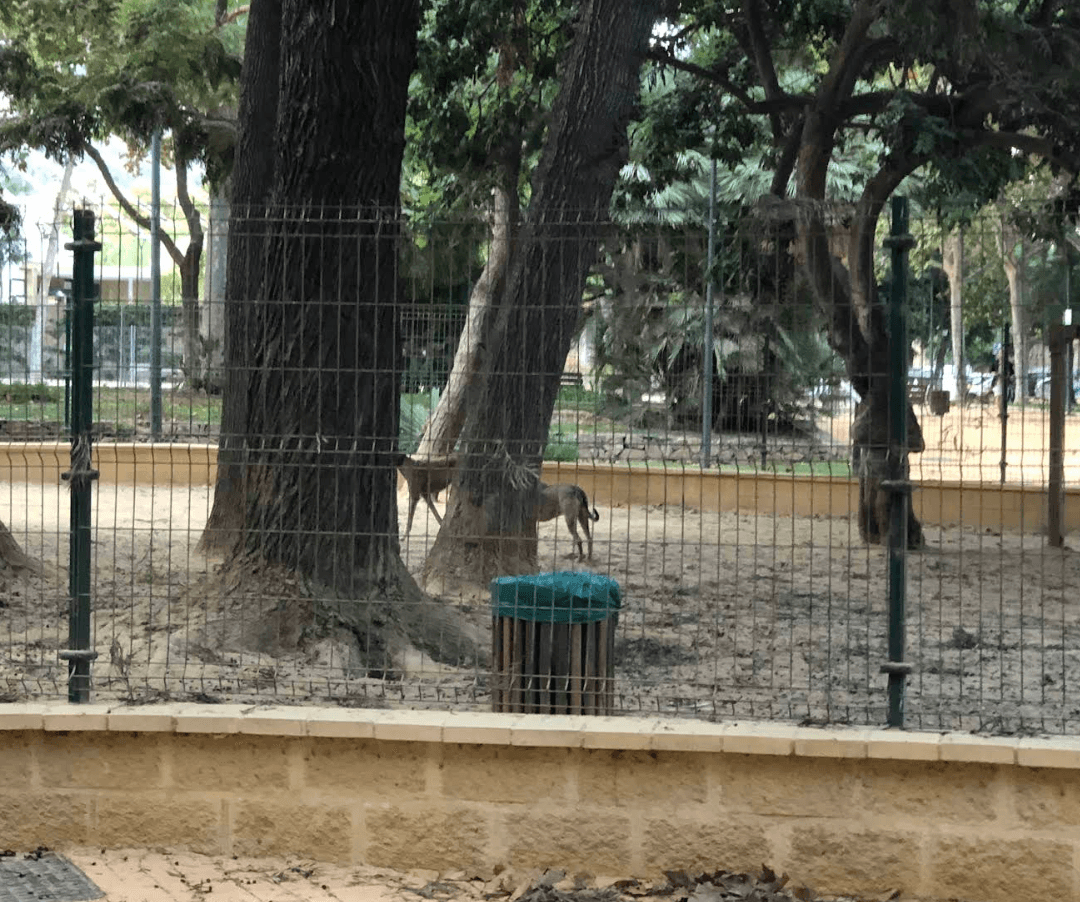 Parque de la Represa Imagen de Galería 3