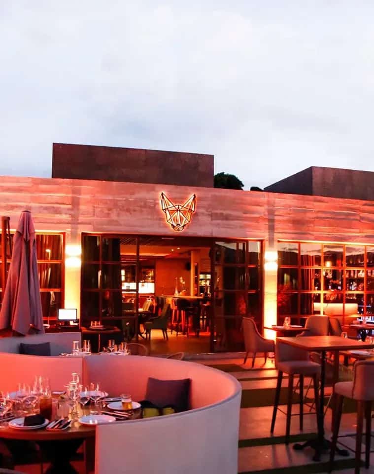 Mosh Fun Kitchen logo