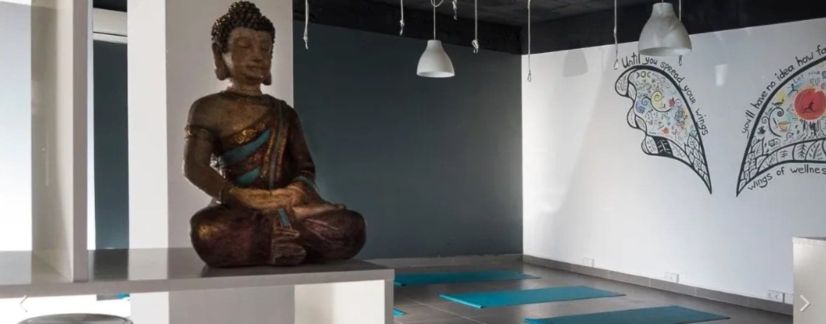 Wings of Wellness Yoga Cover Image