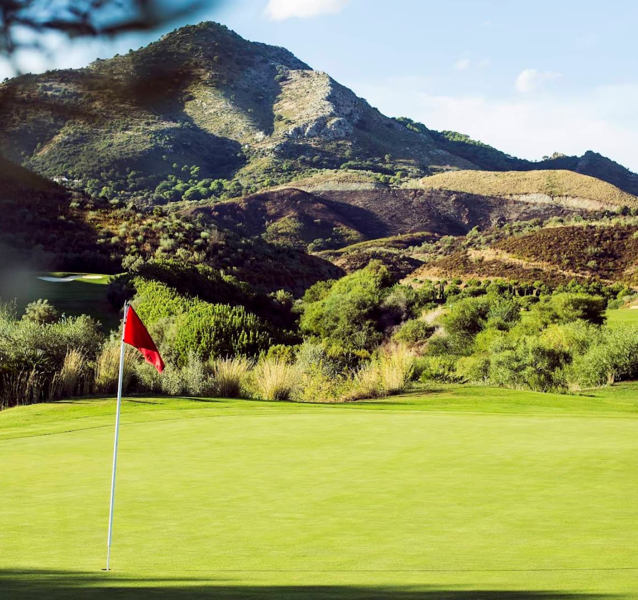 Alferini Golf – Villa Padierna Golf Club Imagen de Galería 2