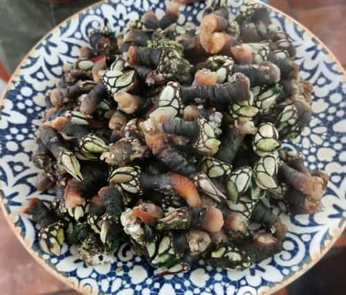 Manolo, Café y Tapas Imagen de Galería 3