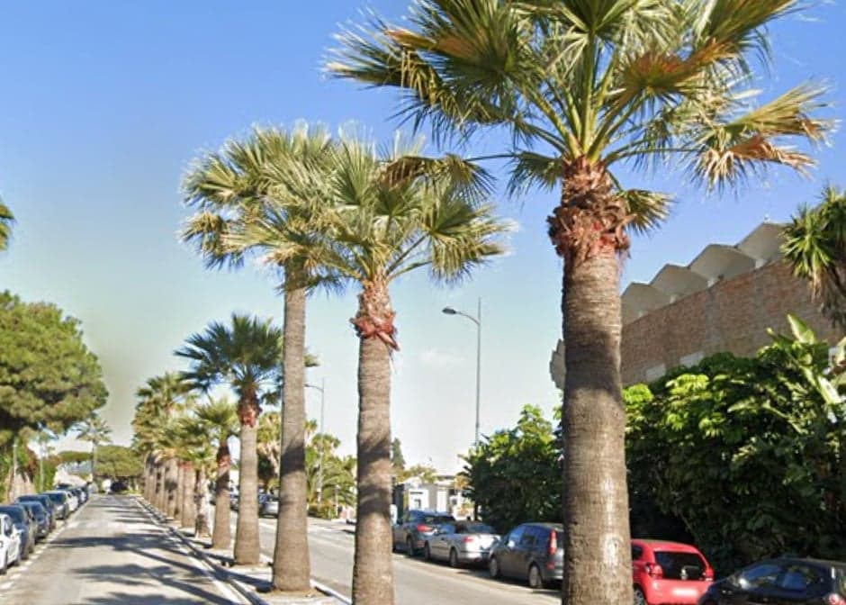 Avenida Pilar Calvo Gallery Image 2