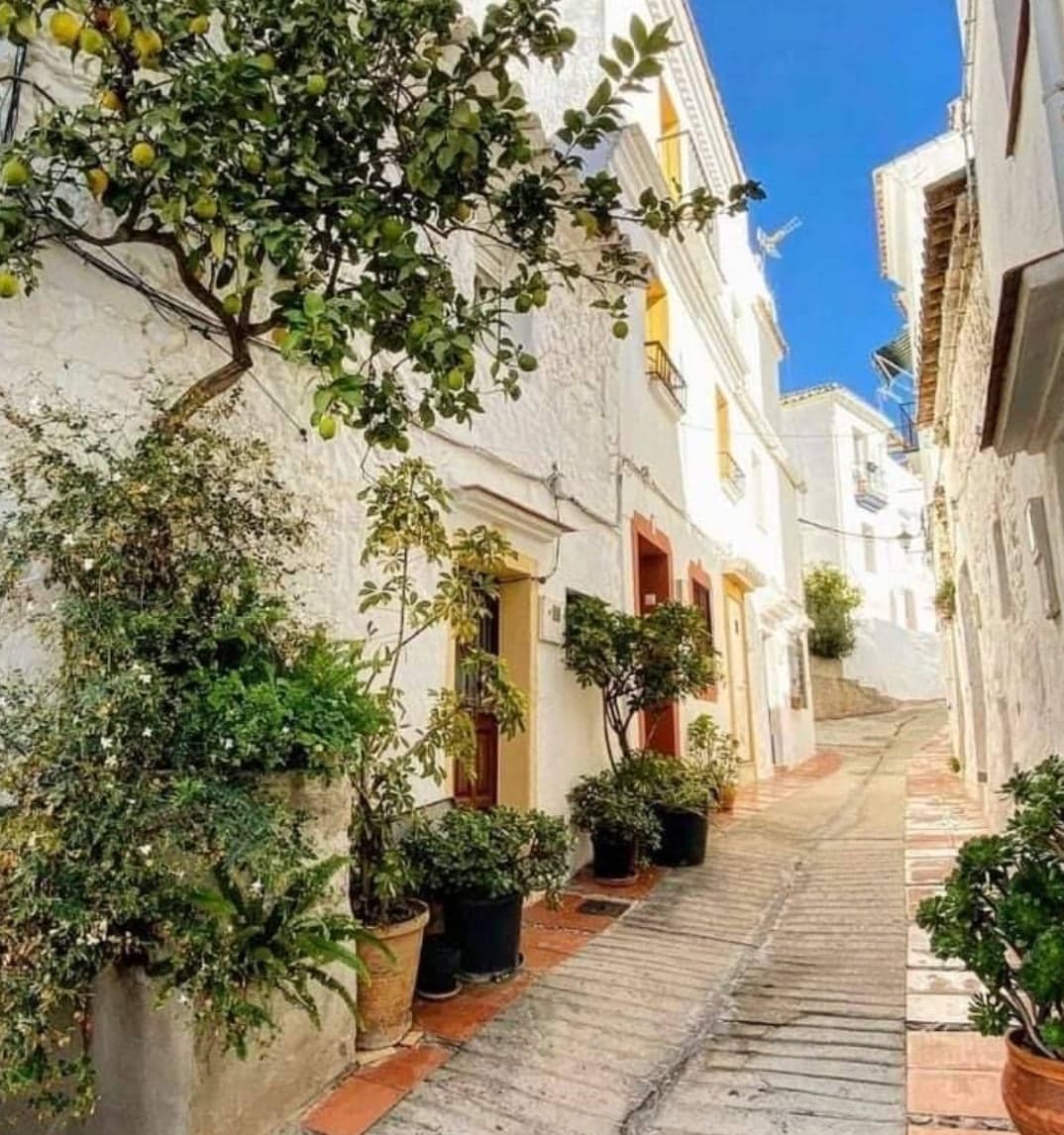 Ojén Gallery Image 2